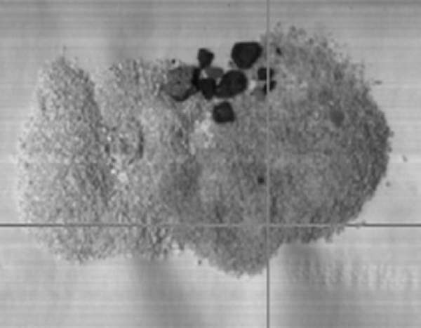 image capturing foreign parts in tea with SWIR light